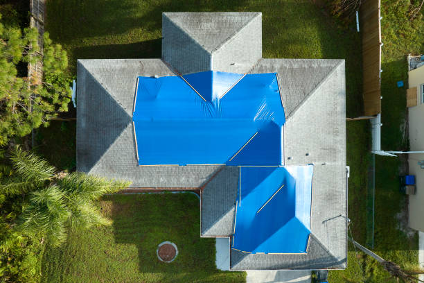 Best Roof Coating and Sealing  in Artondale, WA